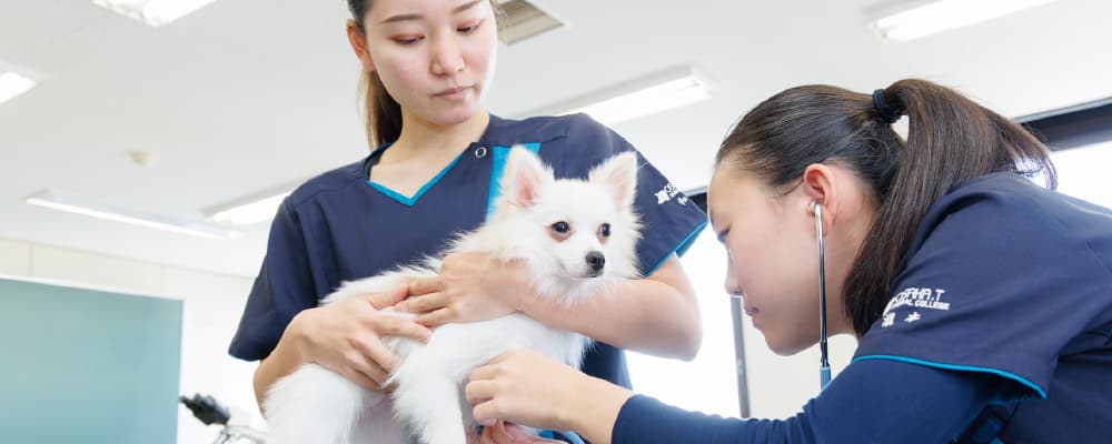 学べる分野・めざせる職業