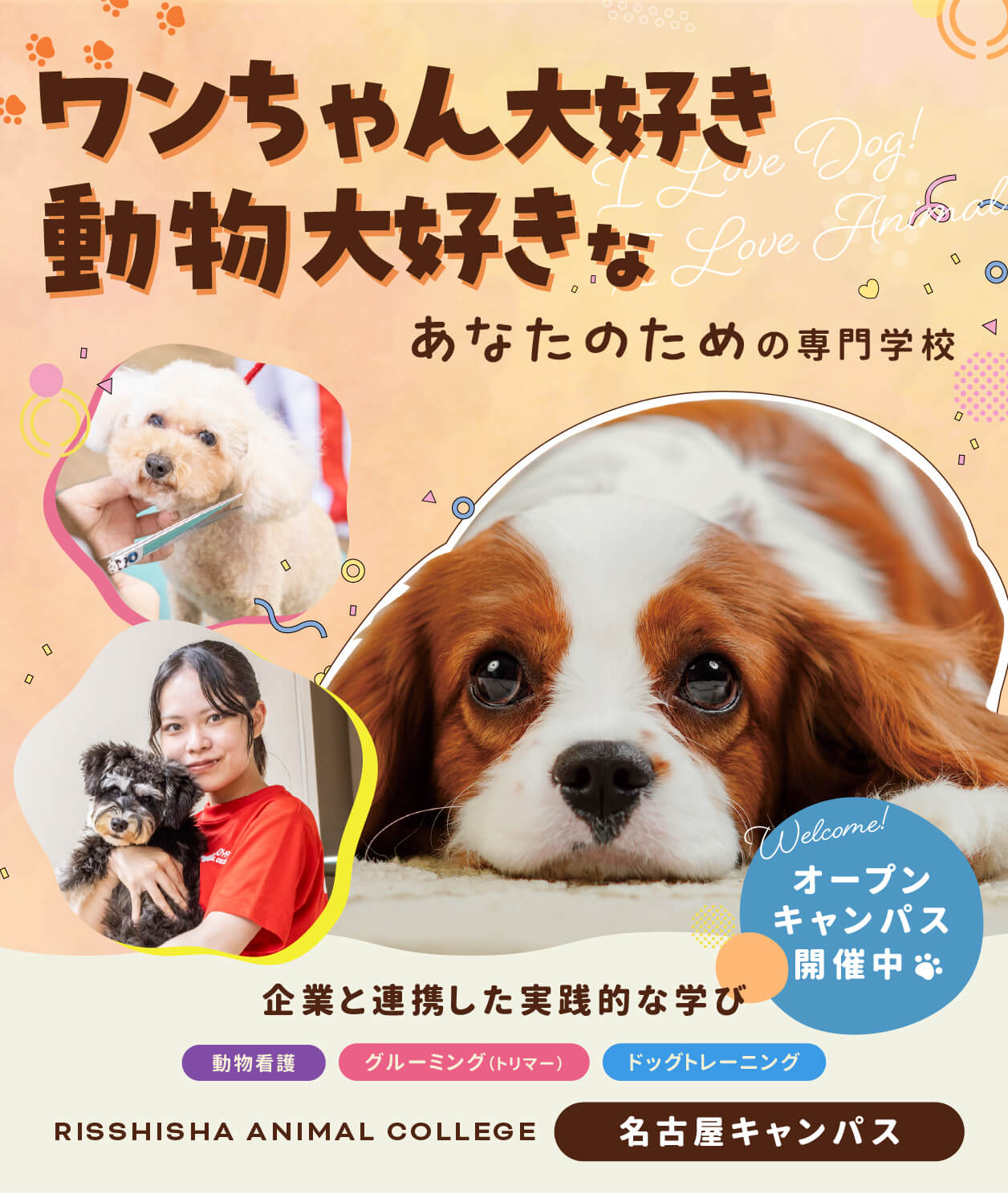 名古屋動物専門学校